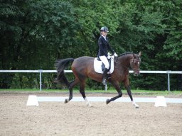 IMG_0236_web
